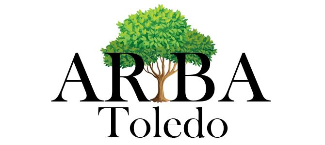 Lee más sobre el artículo Entrevista a ARBA sobre la Ciudad del Cine de Toledo